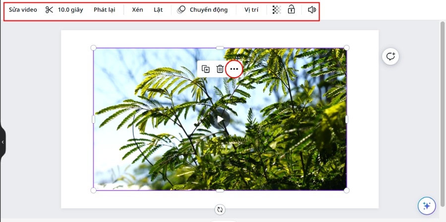 Canva tạo video - Hướng dẫn chi tiết để biến ý tưởng thành hiện thực